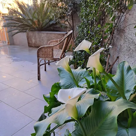 Sussurri Di Mare - Centro Apartman *